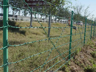 刺繩護欄網(wǎng) 